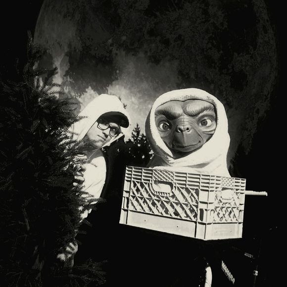 Meet your Posher, David - Picture 1 of 1